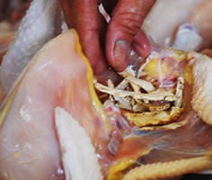 wan-li-xiang-salt-inserting-herbs-into-chicken